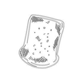 Slice of Bread black and white clipart