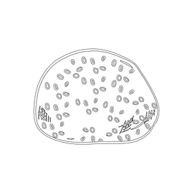 Granary Bread black and white clipart