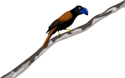 Blue bird clipart