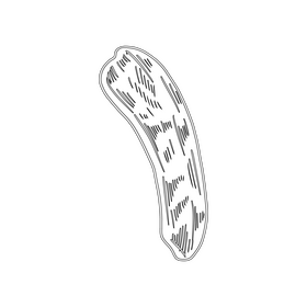 Dried fruit black and white clipart