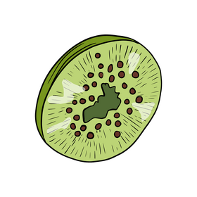Dried kiwi clipart
