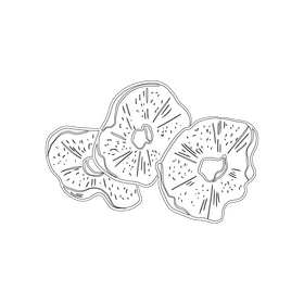 Dried pineapple slices black and white clipart