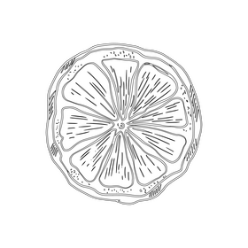 Dried lemon black and white clipart