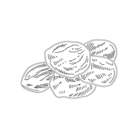 Dried apricot slices black and white clipart