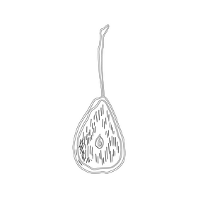 Dried pear slice black and white clipart