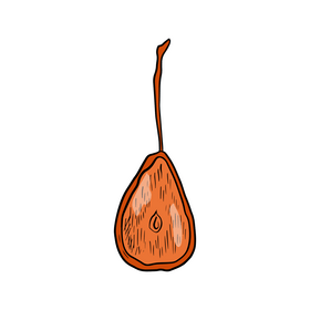 Dried pear slice clipart