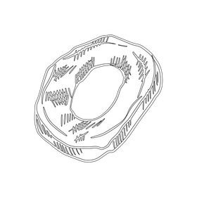 Dried papaya slice black and white clipart