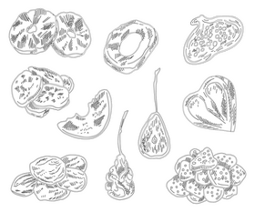 Dried fruits black and white vector