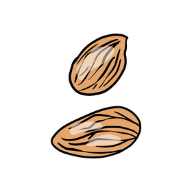 Almond clipart