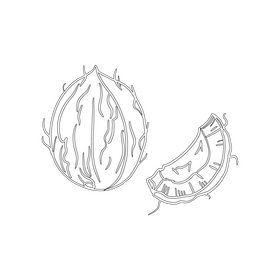 Coconut black and white clipart