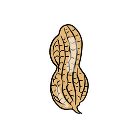 Peanut clipart