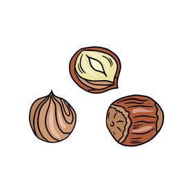 Hazelnut clipart