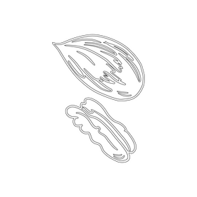 Pecan nuts black and white clipart