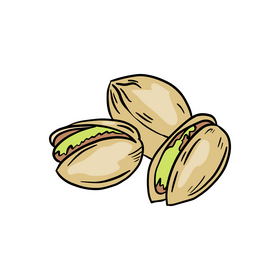 Pistachio clipart