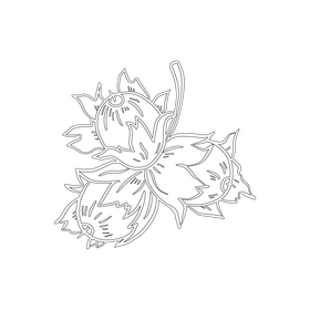 Nuts black and white clipart