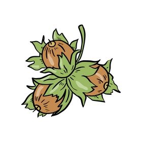 Nuts clipart