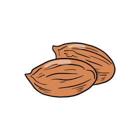 Apricot nuts clipart