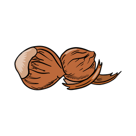 Hazelnut clipart