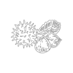 Nuts black and white clipart