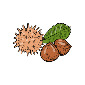 Nuts clipart
