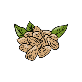 Nuts clipart