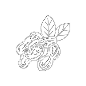 Peanut black and white clipart
