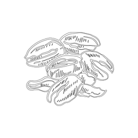 Pistachio nuts black and white clipart