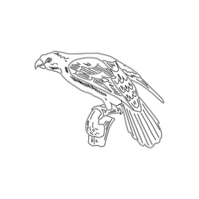 Parrot black and white clipart