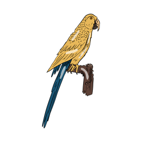 Yellow parrot clipart