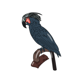 Parrot clipart