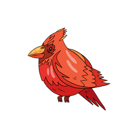 Cardinal bird clipart