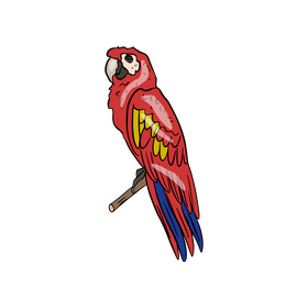 Red parrot clipart