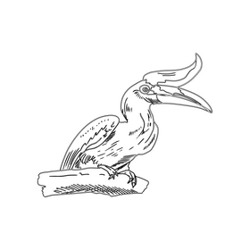 Rhinoceros hornbill bird black and white clipart
