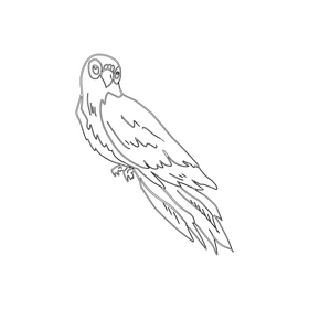 Blue parrot black and white clipart