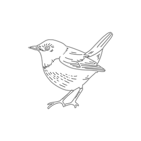 Yellow warbler bird black and white clipart
