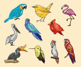 Birds vector