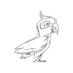 Parrot black and white clipart