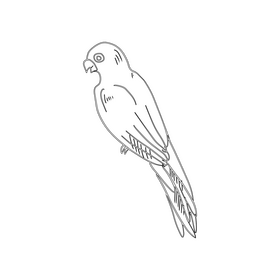 Orange parrot black and white clipart