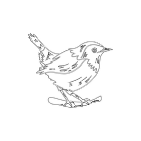 Warbler bird black and white clipart