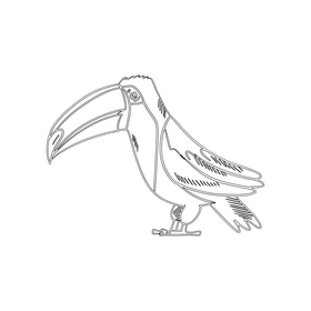 Toucan bird black and white clipart