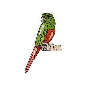 Green parrot clipart