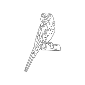 Parrot black and white clipart