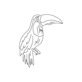 Toucan bird black and white clipart