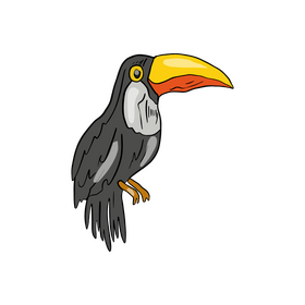Toucan bird clipart
