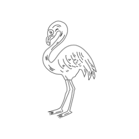 Flamingo black and white clipart