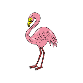 Flamingo clipart