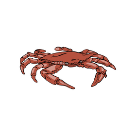 Sea crab clipart