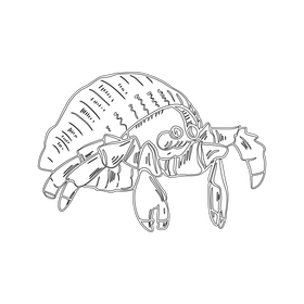 Sea cancer crab cartoon black and white clipart
