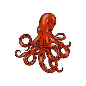Red octopus cartoon clipart