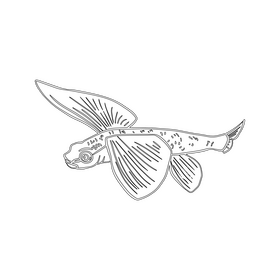Flying fish black and white clipart